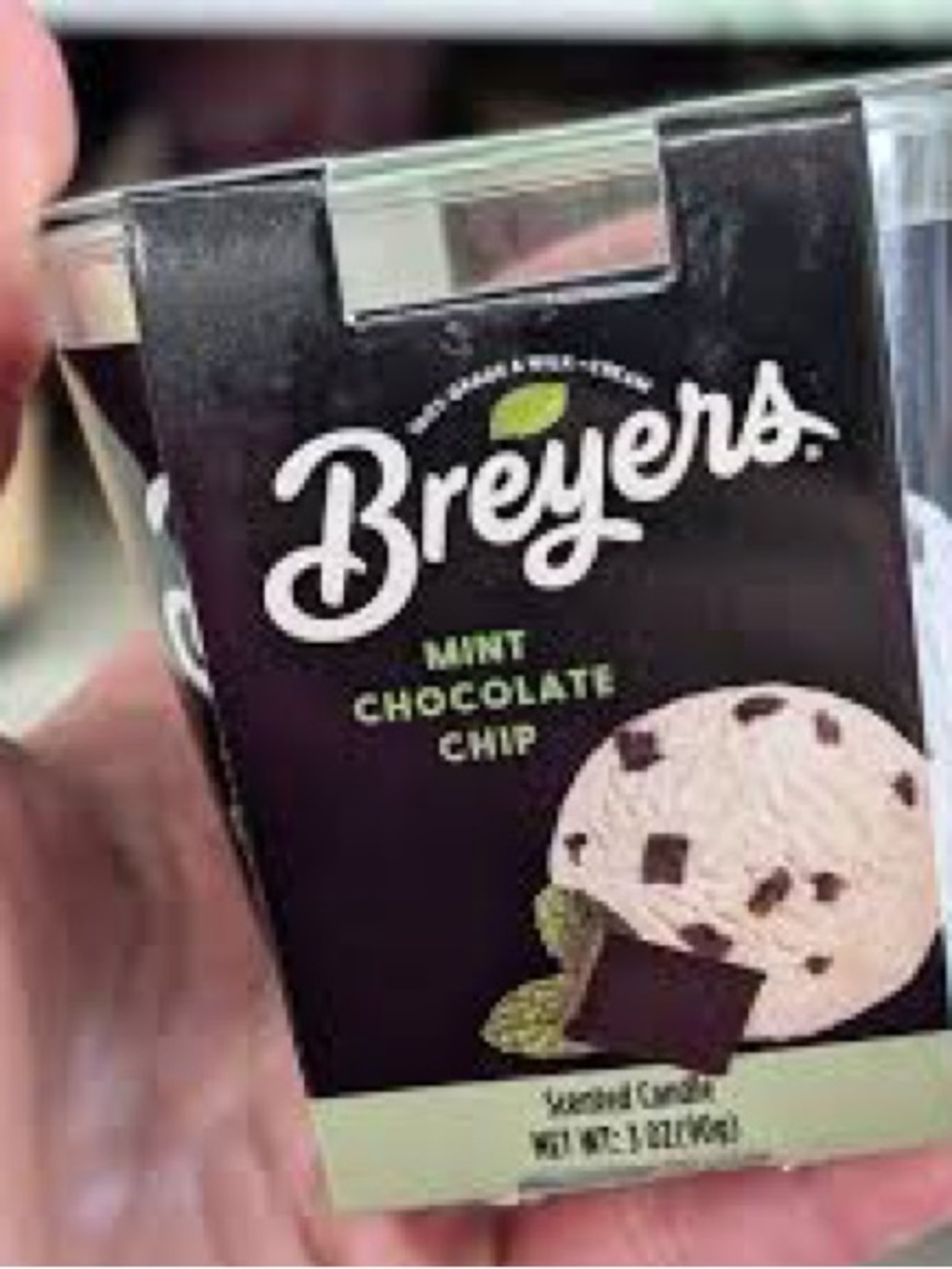 Breyer's Mint Chocolate Chip Candle